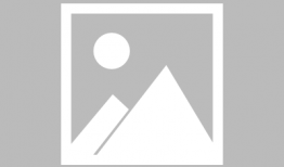 动漫的猫,动漫猫的奇幻冒险之旅